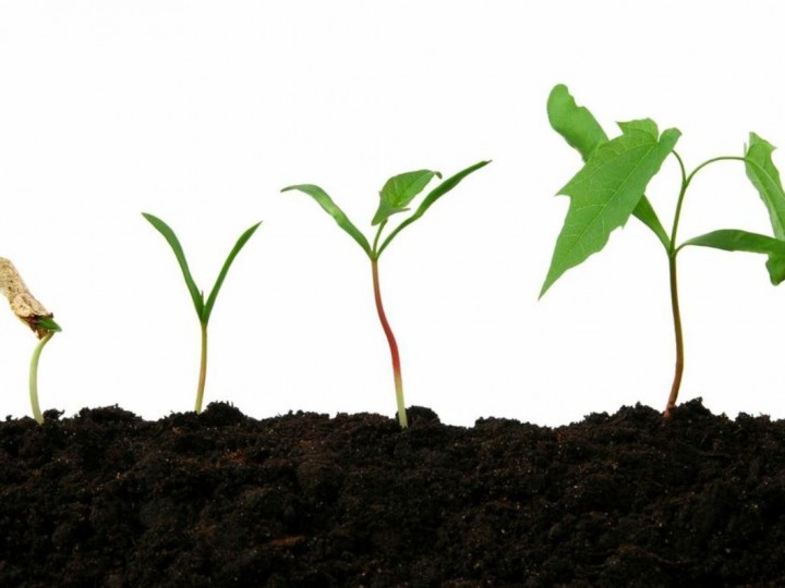 The 6 Ultimate Signs of S&OP Process Maturity