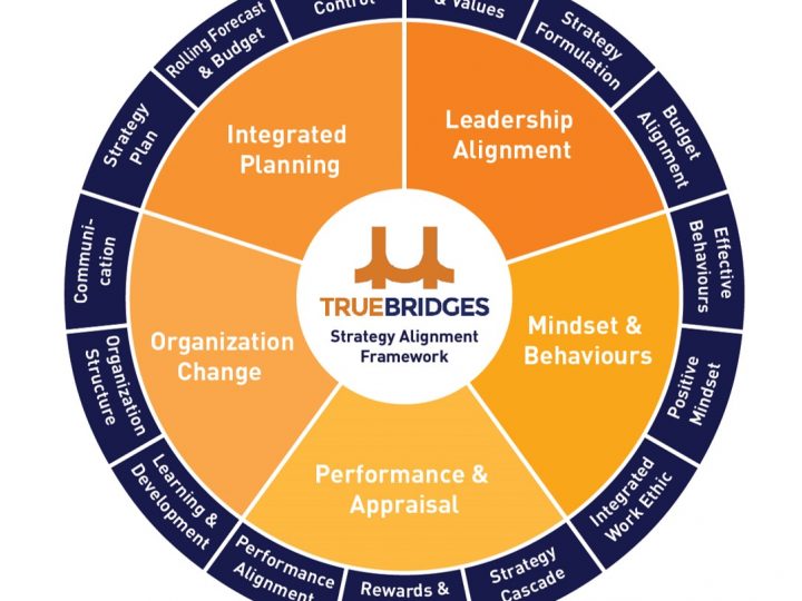 Are you Ready to Execute your Company Strategy?