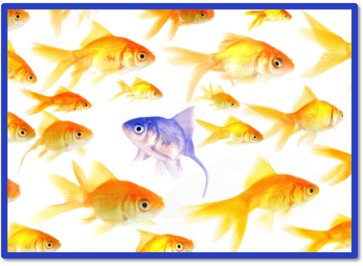Why Mental Toughness can prevent Groupthink